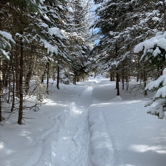 Meet your Posher, Sonia - Picture 2 of 2